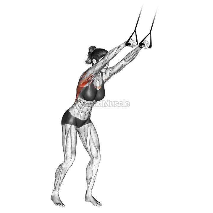 Band straight arm pulldown demonstration