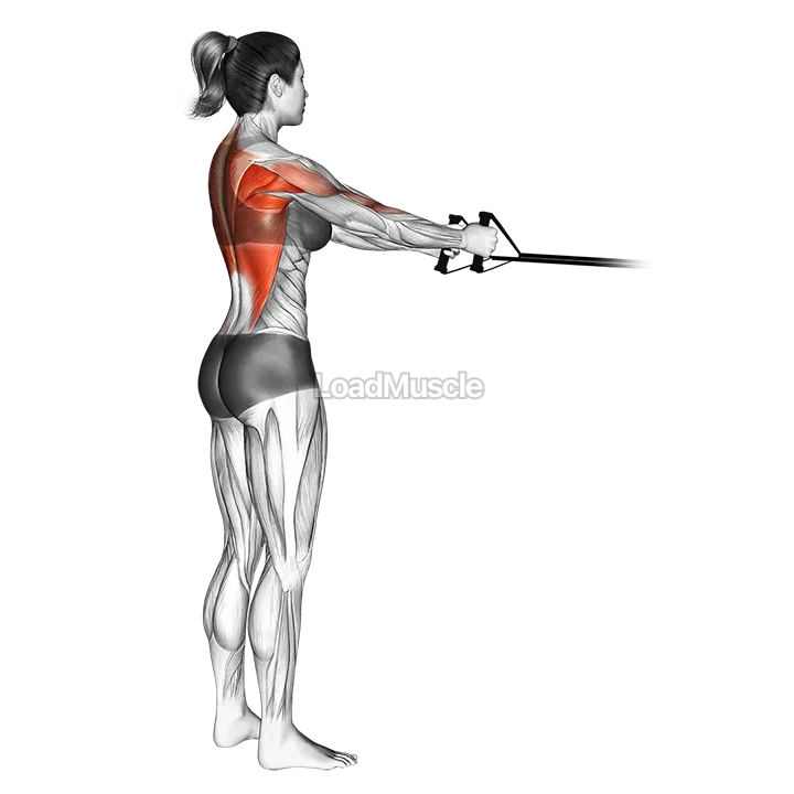 Band straight back standing row demonstration