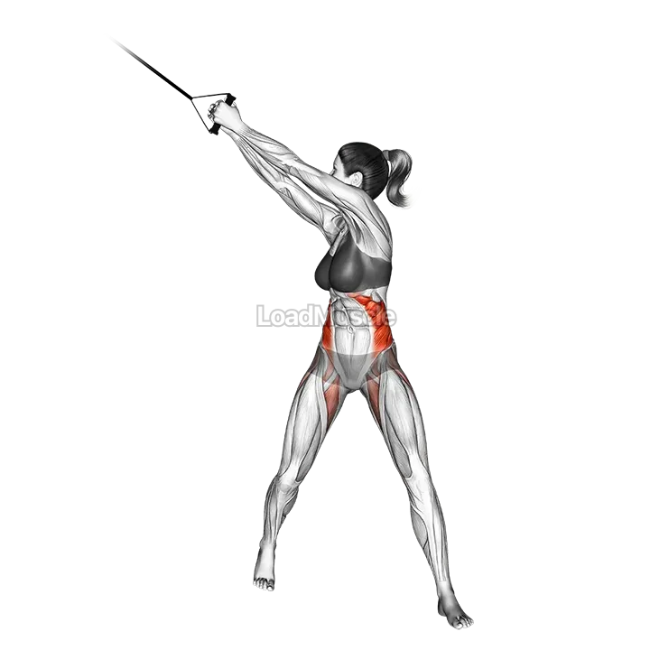 Band twist (up down) demonstration