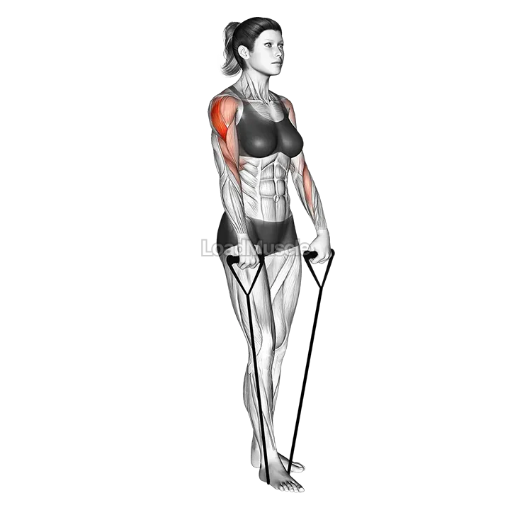 Band upright row demonstration