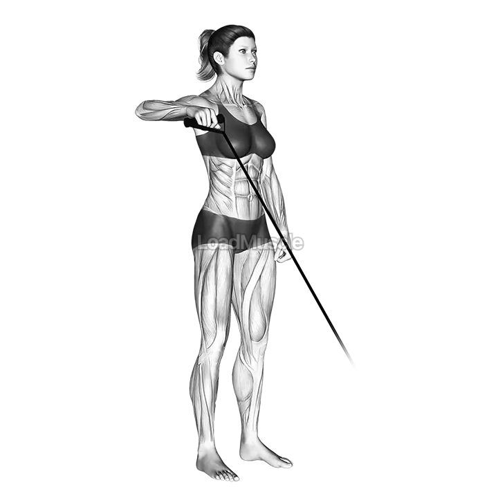 Band Upright Shoulder External Rotation demonstration