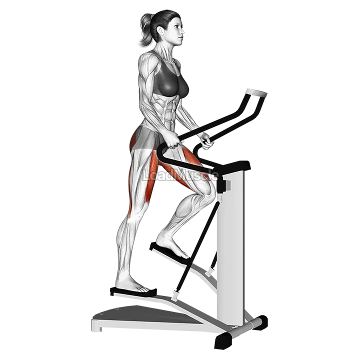 Lever stepper demonstration