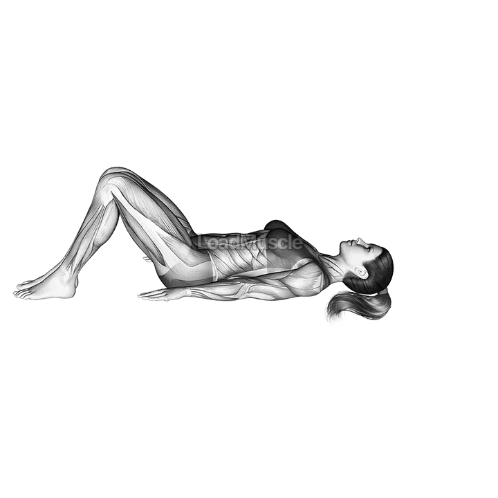 Bridge Pose Setu Bandhasana demonstration