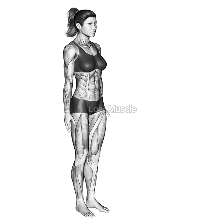 Chair Pose Utkatasana demonstration