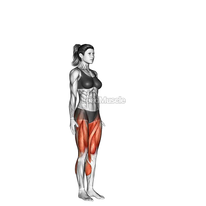 Chair Pose I Utkatasana I demonstration