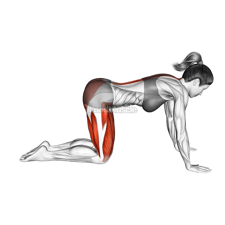 Child Pose demonstration