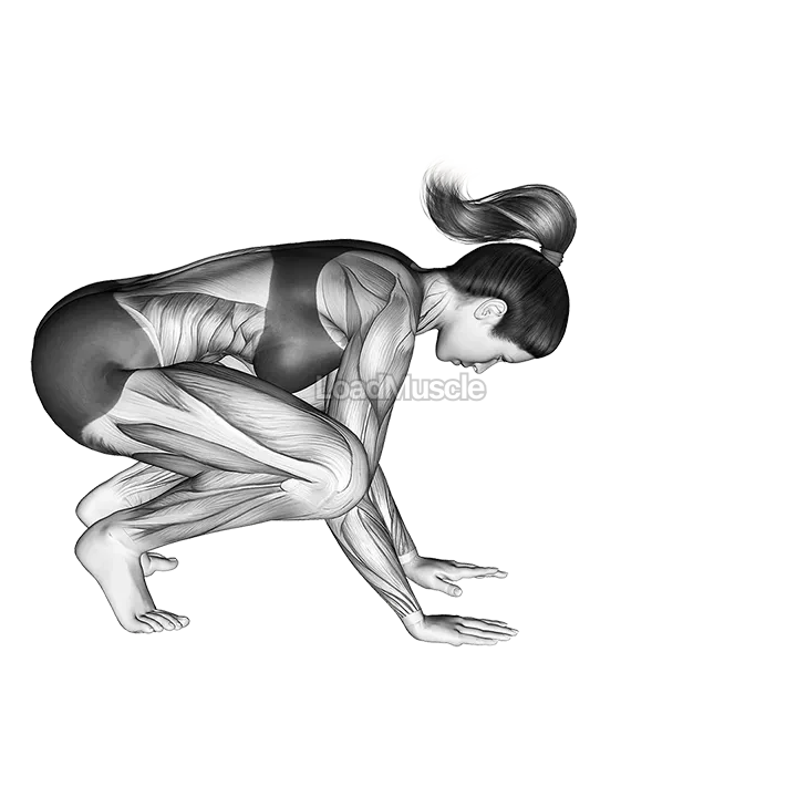 Crane Pose Bakasana demonstration