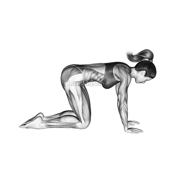 Downward Facing Dog Adho Mukha Svanasana demonstration