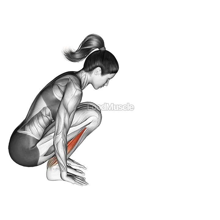 Garland Pose Malasana demonstration