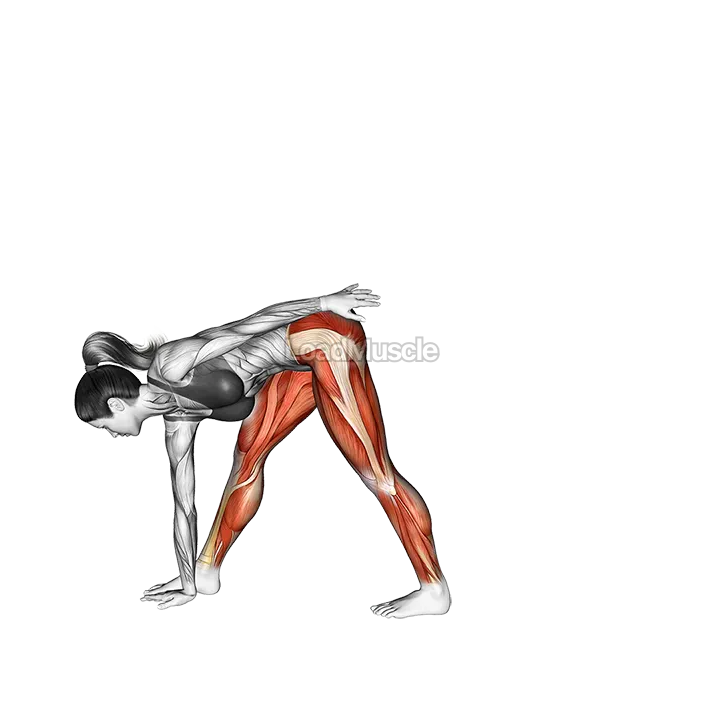 Half Moon Pose Ardha Chandrasana demonstration