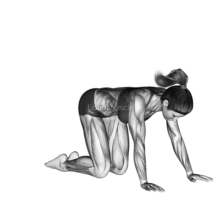 Hero Pose Virasana demonstration