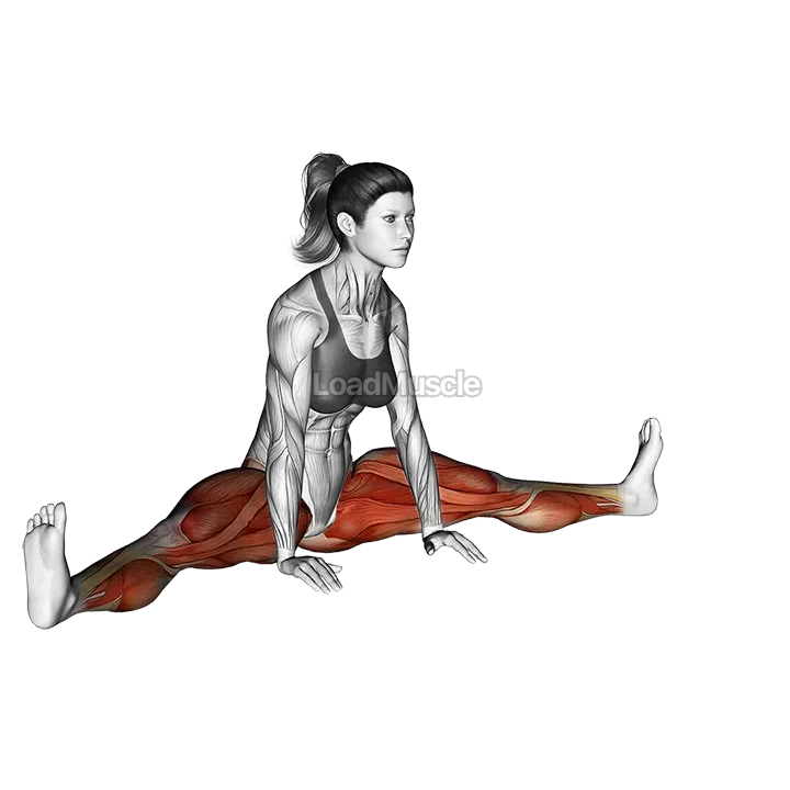 Spread Leg Forward Fold Upavista Konasana demonstration