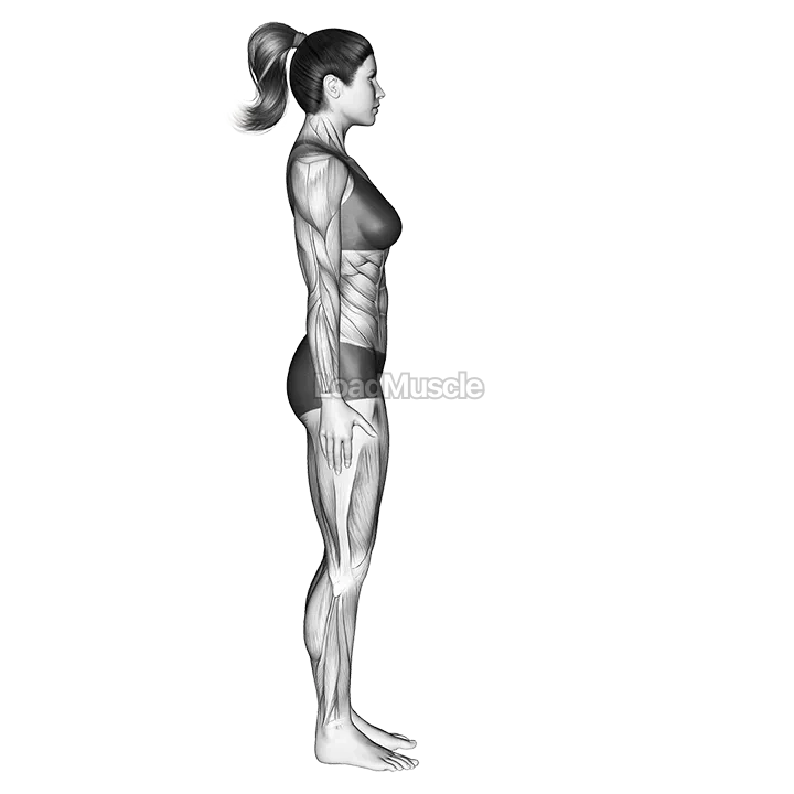 Standing Forward Bend Uttanasana demonstration