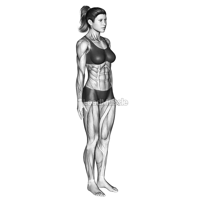 Stand Spread Leg Forward Fold demonstration