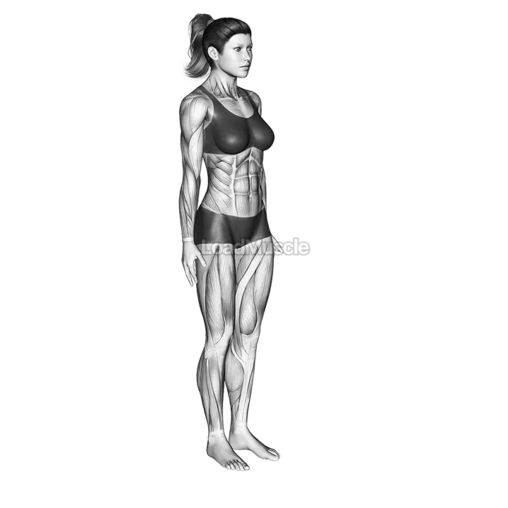 Wide legged Forward Bend Prasarita Padottanasana demonstration