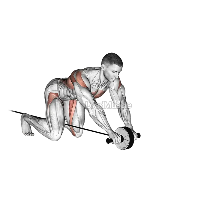 Band Assisted Wheel Rollout demonstration