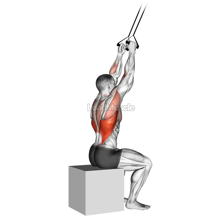 Band close grip pulldown demonstration