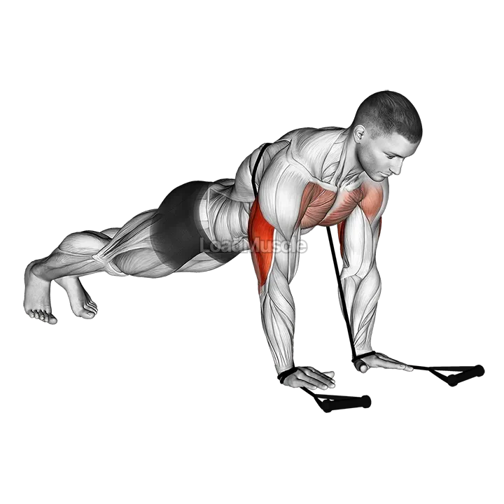 Band close grip push up demonstration