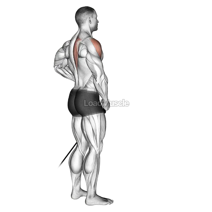 Band front lateral raise demonstration