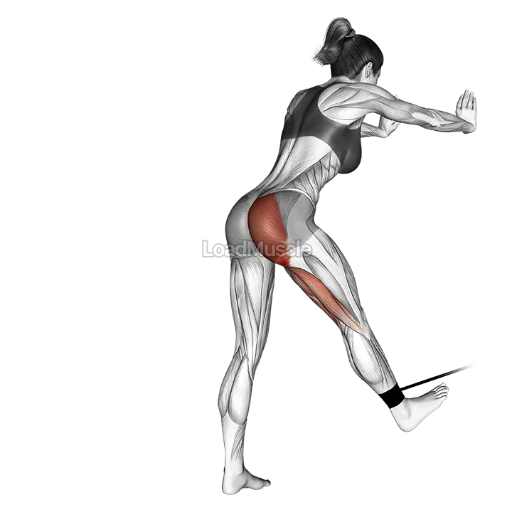 Band bent over hip extension demonstration