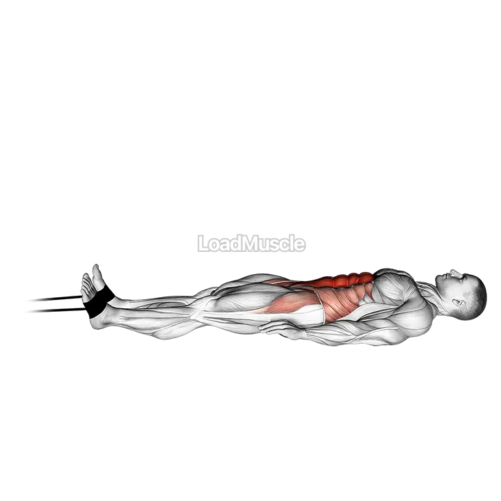 Band jack knife sit up demonstration