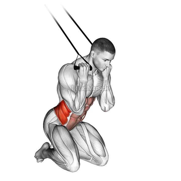 Band Kneeling Twisting Crunch demonstration