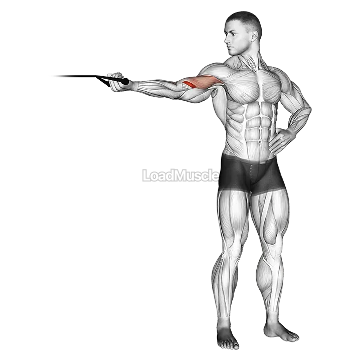 Band one arm overhead biceps curl demonstration