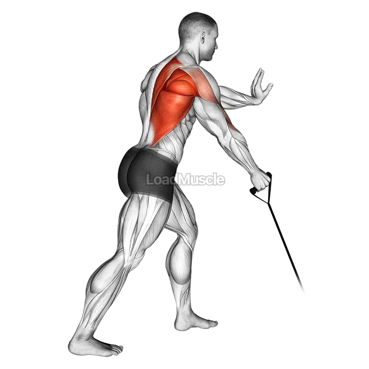 Band one arm Standing Low Row demonstration