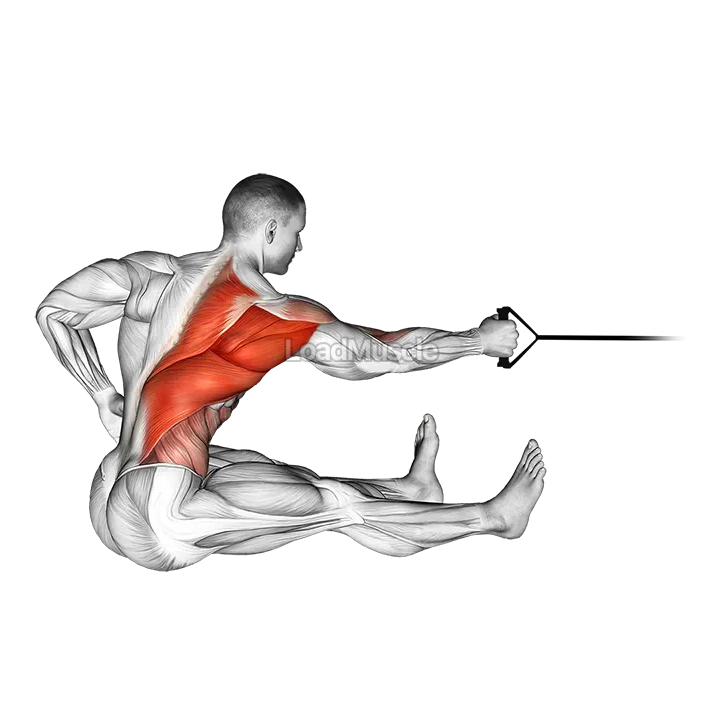Band One Arm Twisting Seated Row demonstration