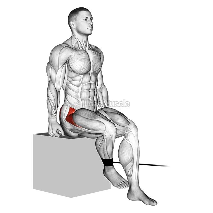 Band Seated Hip Internal Rotation demonstration