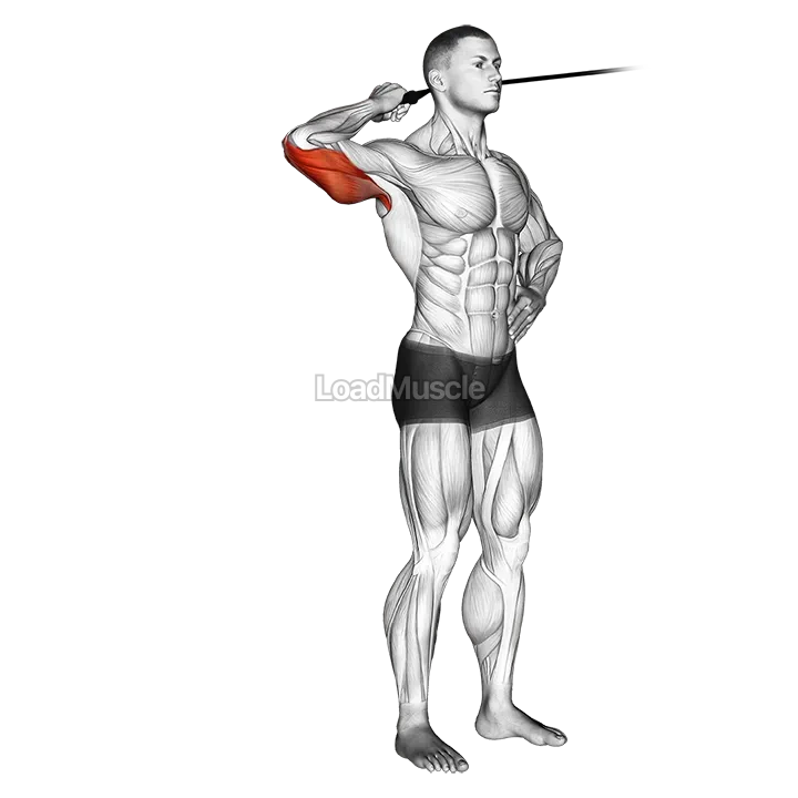 Band side triceps extension demonstration
