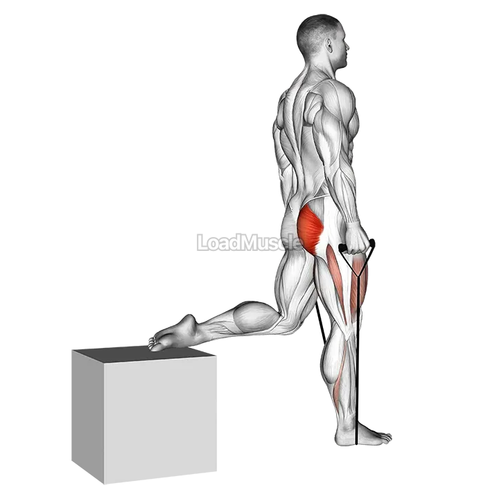 Band single leg split squat demonstration