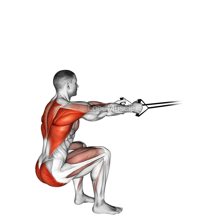 Band squat row demonstration
