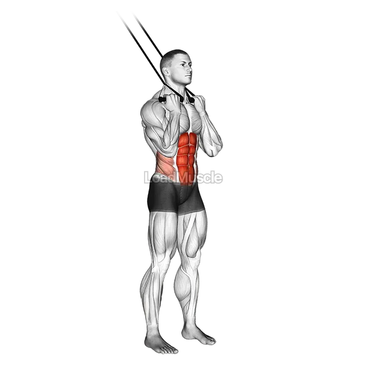 Band standing crunch demonstration