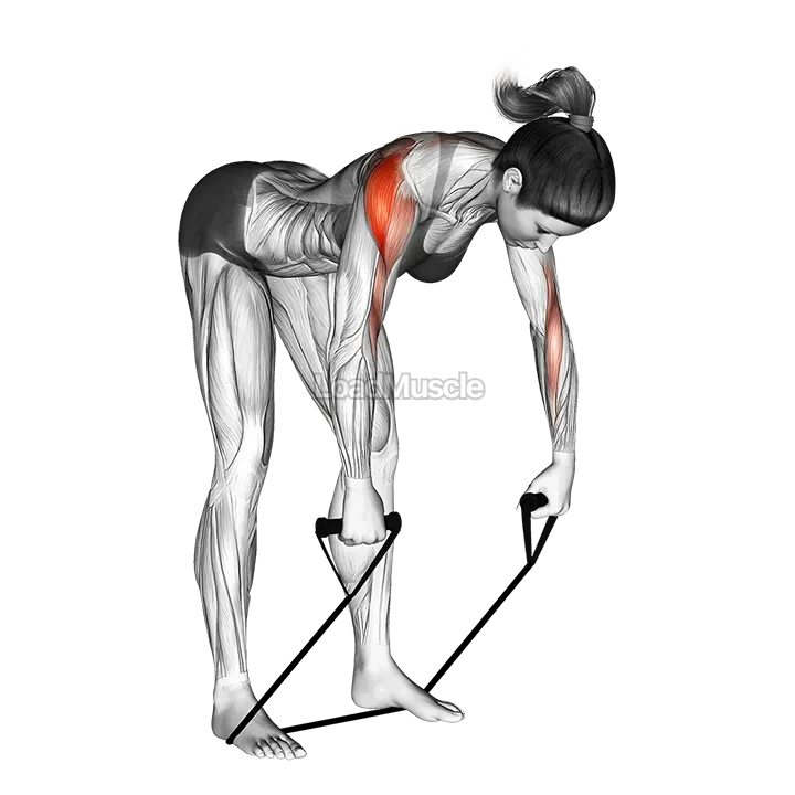 Band rear delt row demonstration
