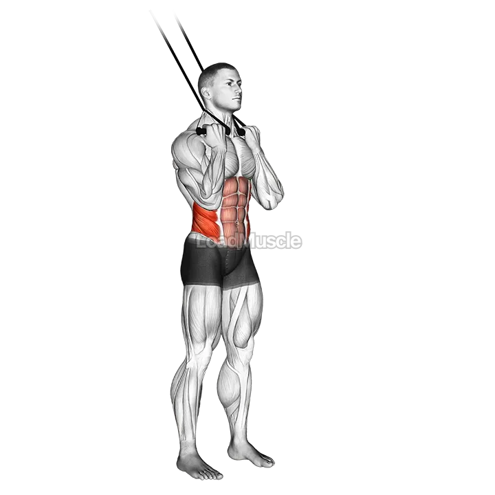 Band standing twisting crunch demonstration