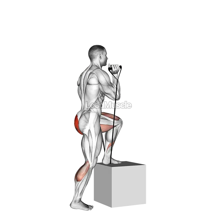 Band step up demonstration