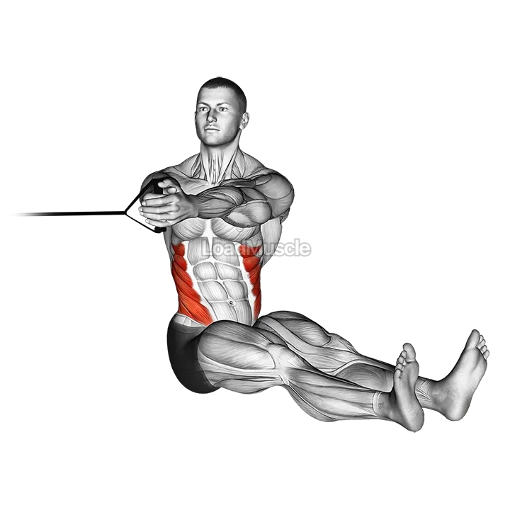 Band seated twist demonstration