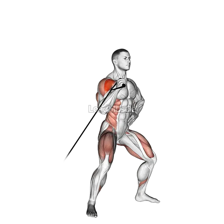 Band twisting overhead press demonstration