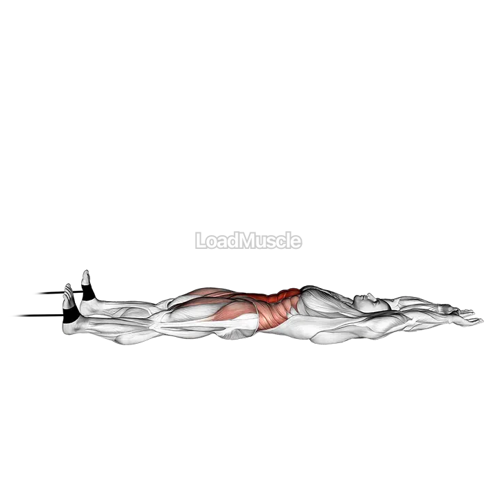 Band v up demonstration