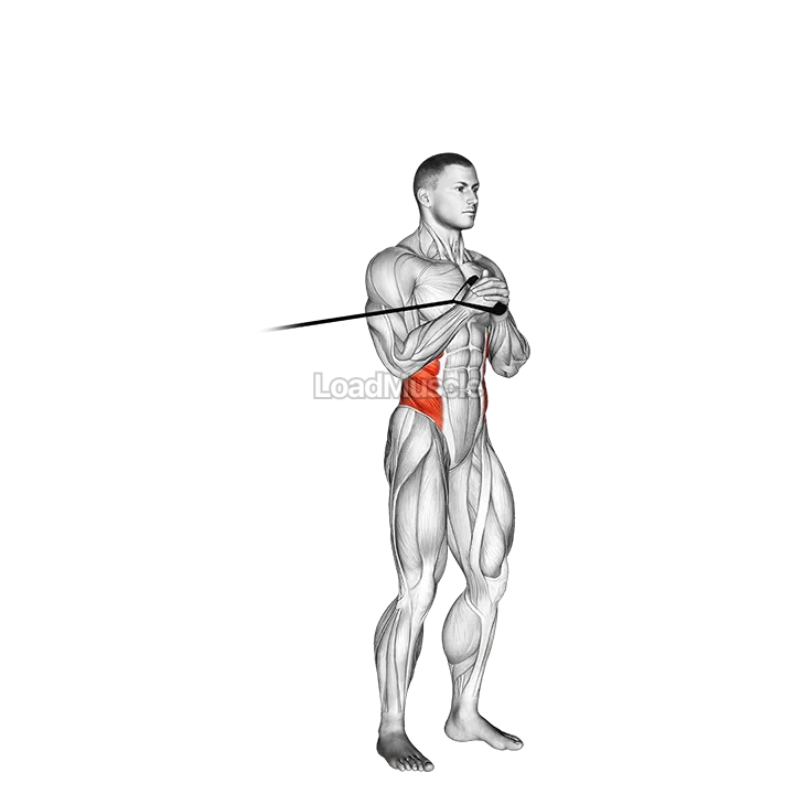 Band vertical Pallof Press demonstration