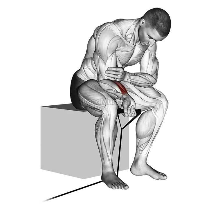 Band wrist curl demonstration