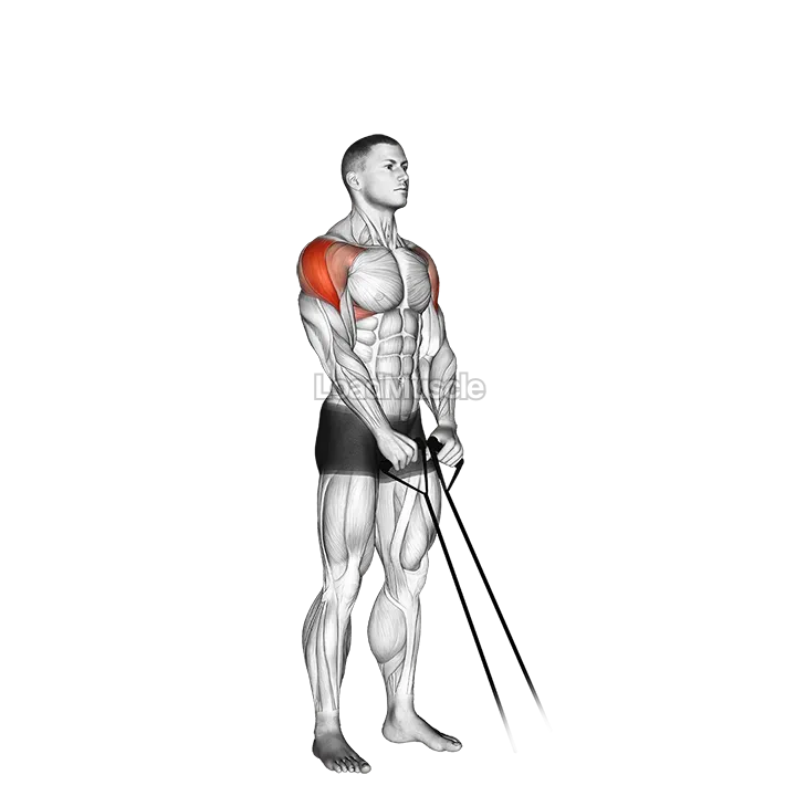 Band Y raise demonstration