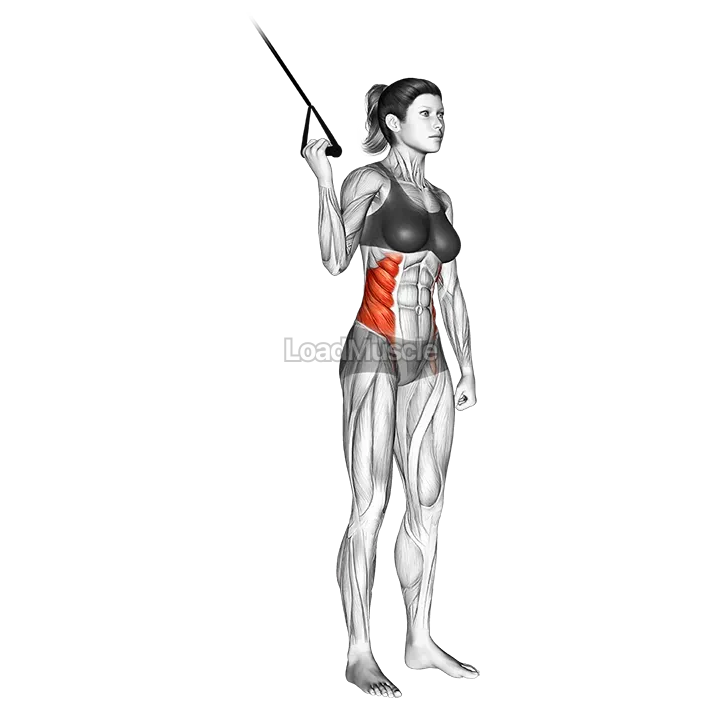 Band Side Crunch demonstration