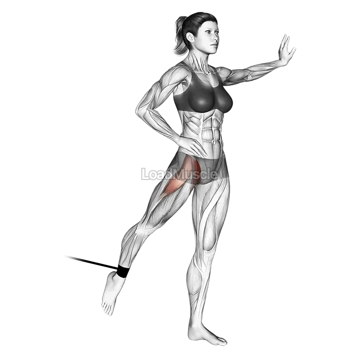 Band Standing Leg Raise demonstration