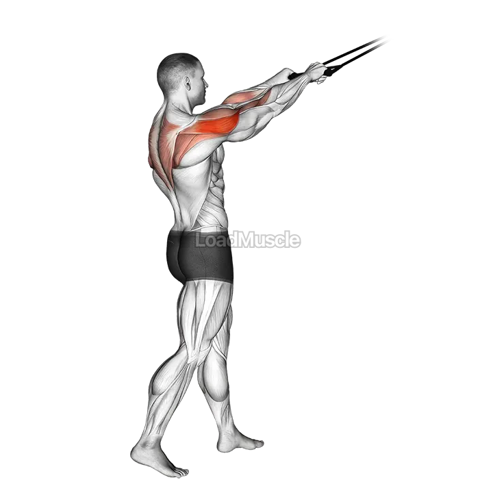 Band standing rear delt row demonstration