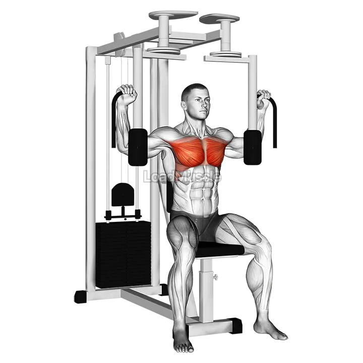 Lever Pec Deck Fly demonstration