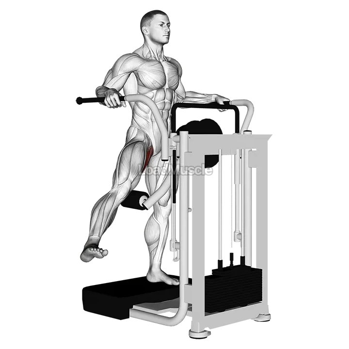 Lever Side Hip Adduction demonstration