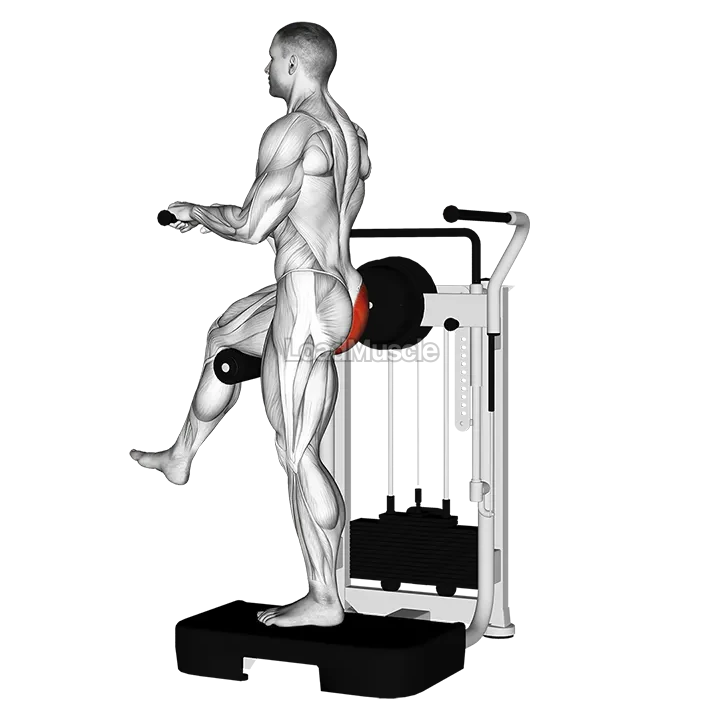 Lever Standing Rear Kick demonstration