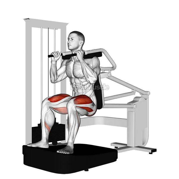 Lever Chair Squat demonstration